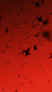 Vertical video - Seamlessly looping wildlife motion background animation: a large flock of small black birds or swallows flying across a red sky at sunset.	
