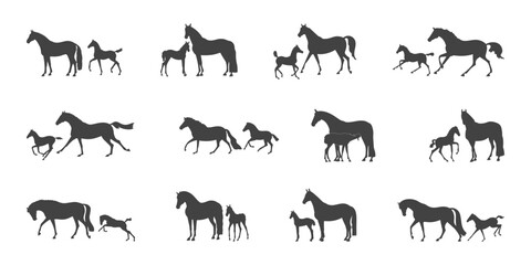 Set of vector silhouettes, mares with their foals - obrazy, fototapety, plakaty