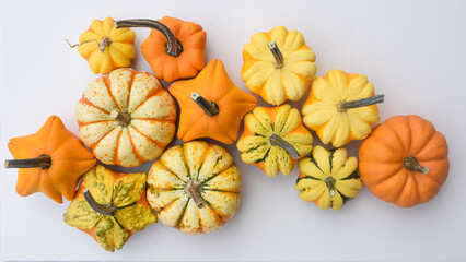 Calabazas decorativas de otoño con tonos anaranjados y amarillentos, dispuestas unas junto a...