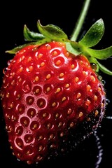 Macro photography of a fresh harvested strawberry, juicy red