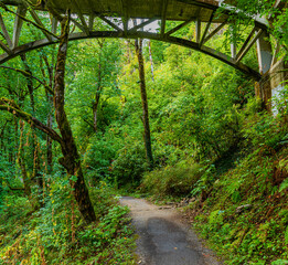 Historic Columbia River Gorge Highway Bridge Over The Latourell Falls Loop Trail at Guy W. Talbot State Park, Columbia River Gorge, Oregon, USA