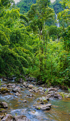 Cascades on The Pipiwai Stream Along The Pipiwai Trail, Kipahulu District, Haleakala National Park, Maui, Hawaii, USA