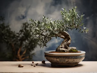 Fotobehang olive bonsai with gnarled trunk, in an ancient - looking clay pot, set on a marble surface, studio lighting © Marco Attano