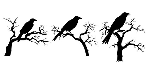 Vector Design Set for Spooky Halloween Night: Silhouette Raven Bird at Bare Tree Branches Entrance, Raven Dead Tree