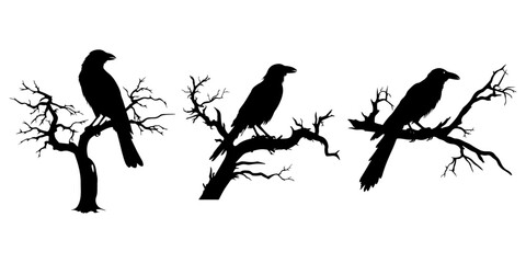 Bare Tree Branches Entrance with Silhouette Raven Bird: Spooky Halloween Night Vector Design Set, Including Raven Dead Tree