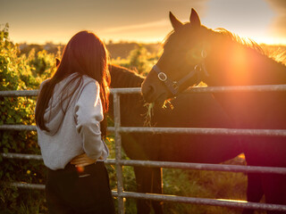 Teenager girl looking at dark horses eating grass behind metal gate at sunset. Green field out of...