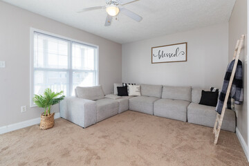 Fototapeta premium living room