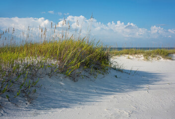 Breezy Clear Morning at the Gulf of Mexico beach in Pensacola - 657907998