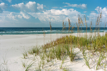 Bright Beautiful Morning at Florida Beach - 657908114