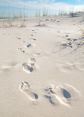 Footprints in the Sand Dunes at the Beach