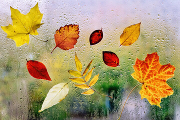 Colorful autumn leaves on wet window