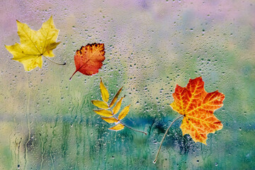 Autumn background with leaves and raindrops 