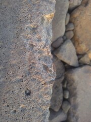 Fototapeta premium texture of old cement stone wall