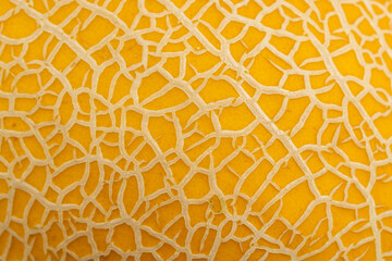 part of the ripe and sweet peel of orange melon