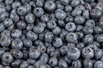 sweet and delicious blueberries during storage before sale