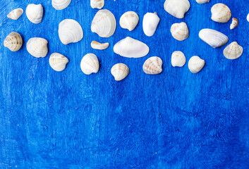 Seashells frame on wooden background nautical border