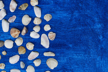 Seashells frame on wooden background nautical border