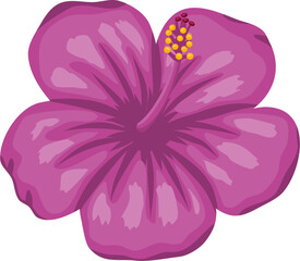 Obraz na płótnie Canvas Hibiscus flower Illustration 