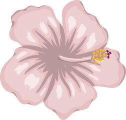 Fototapeta na wymiar Vector of Pink hibiscus flower