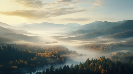 The scene is full of misty trees and trees in the style of a mountain landscape.