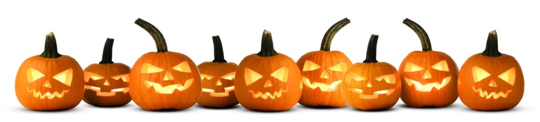 A lot of pumpkins in a row isolated on white 