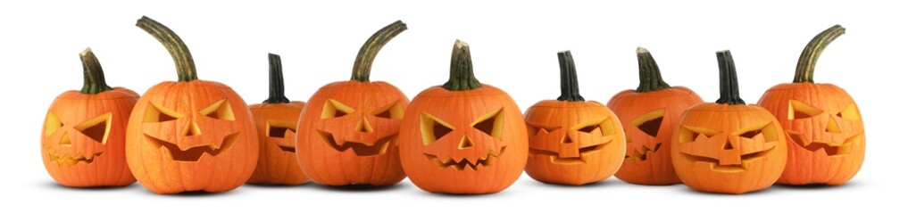 A lot of pumpkins in a row isolated on white 