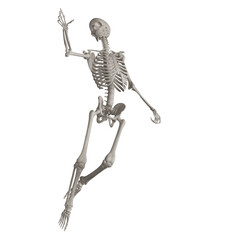 skeleton posing 3d render illustration with transparent background