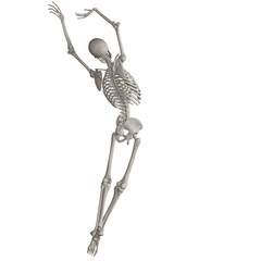 skeleton posing 3d render illustration with transparent background