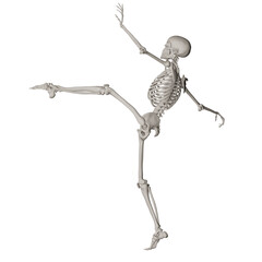 skeleton posing 3d render illustration with transparent background