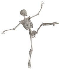 skeleton posing 3d render illustration