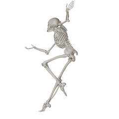 skeleton posing 3d render illustration with transparent background	
