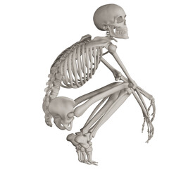 skeleton posing 3d render illustration with transparent background - obrazy, fototapety, plakaty