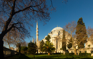 Fototapeta na wymiar Suleymaniye Camii mosque in Fatih district, Istanbul, Turkey