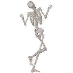 skeleton posing 3d render illustration with transparent background
