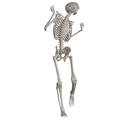 skeleton posing 3d render illustration