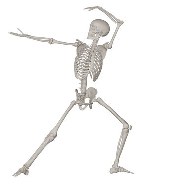 skeleton posing 3d render illustration