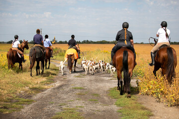 Fox hunt hounds