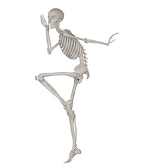skeleton posing 3d render illustration