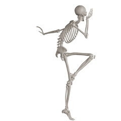 skeleton posing 3d render illustration with transparent background