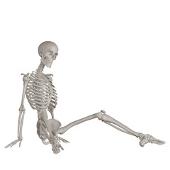 skeleton posing 3d render illustration