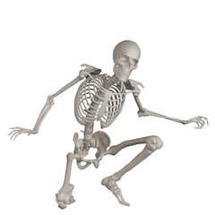 skeleton posing 3d render illustration