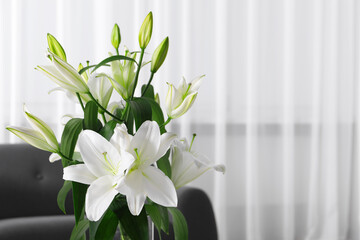 Beautiful lily flowers in living room, space for text