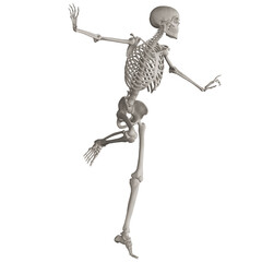 skeleton posing 3d render illustration