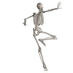 skeleton posing 3d render illustration with transparent background