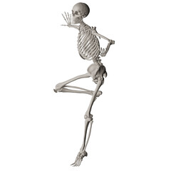 skeleton posing 3d render illustration with transparent background