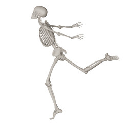 skeleton posing 3d render illustration with transparent background