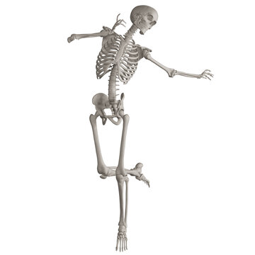 skeleton posing 3d render illustration