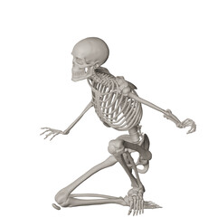 skeleton posing 3d render illustration