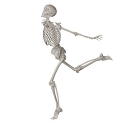 skeleton posing 3d render illustration