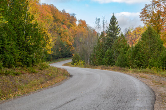 An empty country road winds its way through the Autumn-coloured trees in Boyne Valley, Ontario.